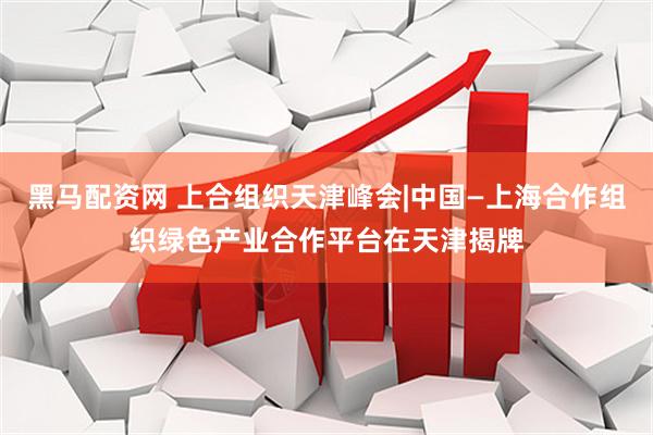黑马配资网 上合组织天津峰会|中国—上海合作组织绿色产业合作平台在天津揭牌